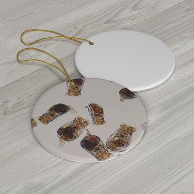 Rotifer Ceramic Ornaments