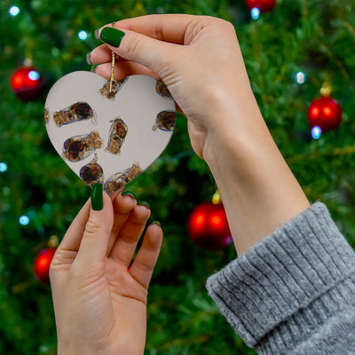 Rotifer Ceramic Ornaments