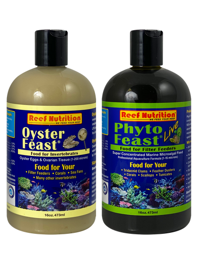 CORAL INVERTEBRATE LIVE PACK (M)