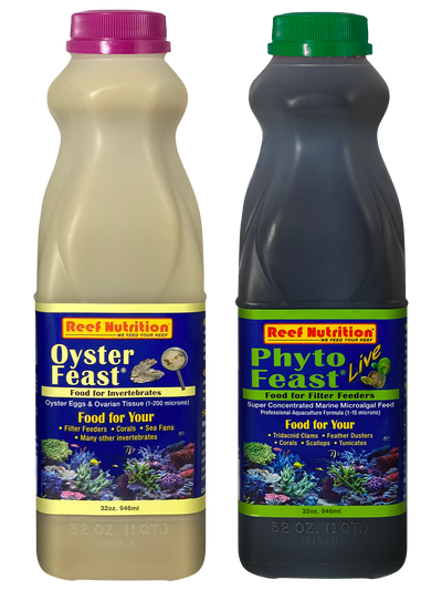 CORAL INVERTEBRATE LIVE PACK (L)