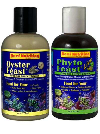 CORAL INVERTEBRATE LIVE PACK (S)