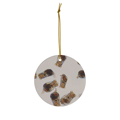 Rotifer Ceramic Ornaments