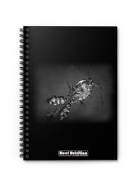 Black & White Apo Spiral Notebook