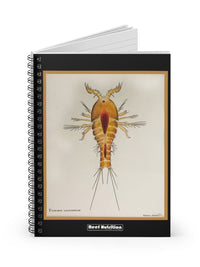 Tigger Spiral Notebook