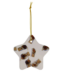 Rotifer Ceramic Ornaments