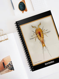 Tigger Spiral Notebook