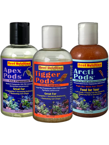 Live copepods deals petco