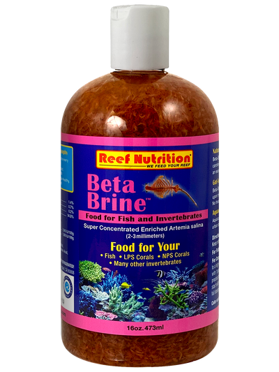 Brine shrimp for betta best sale