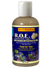 R.O.E.™ - Real Oceanic Eggs